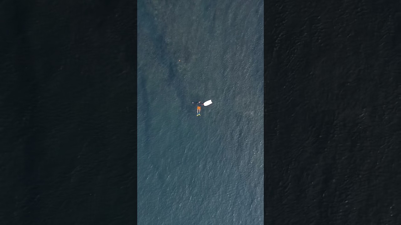 Dream set up… nobody out! #bodyboarding #pov #sumatra