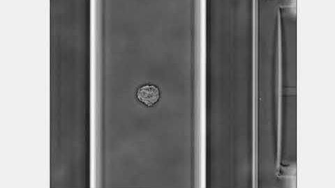 Optical stretcher for single-particle imaging