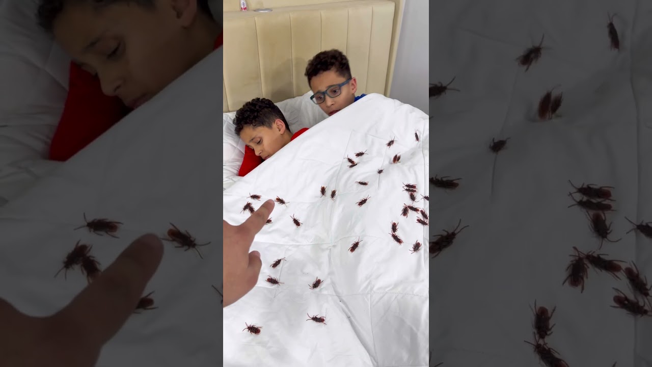 Fake Roach Prank On My Brothers 🤣 