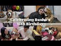 Happy Birthday Busho | Celebrating My Dog’s 10th Birthday | Visiting Animal Shelter in Noida