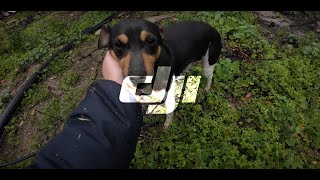 DJI Osmo Action 4 | 4K 50fps RockSteady