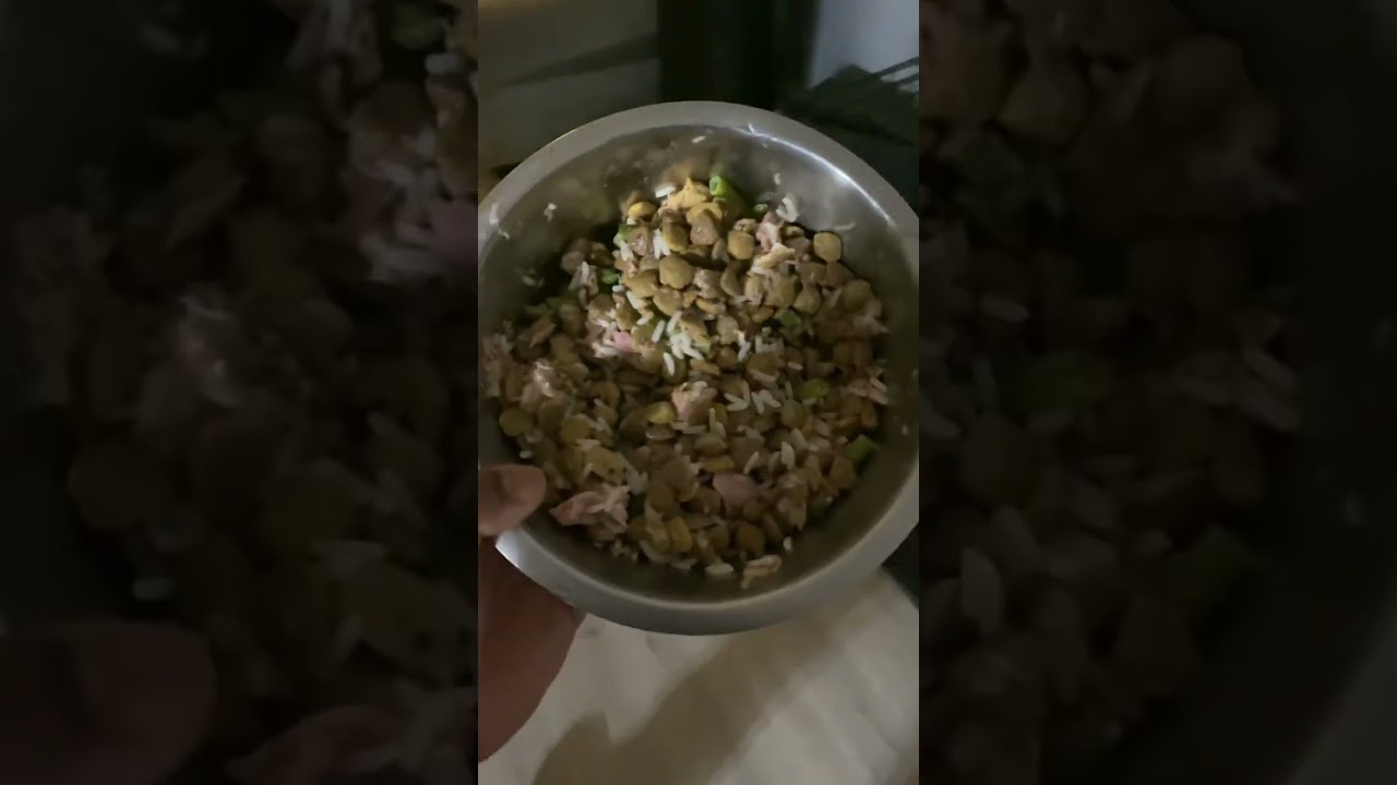 Healthy Homemade Dog Meal Recipe | Easy & Nutritious for Your Pup