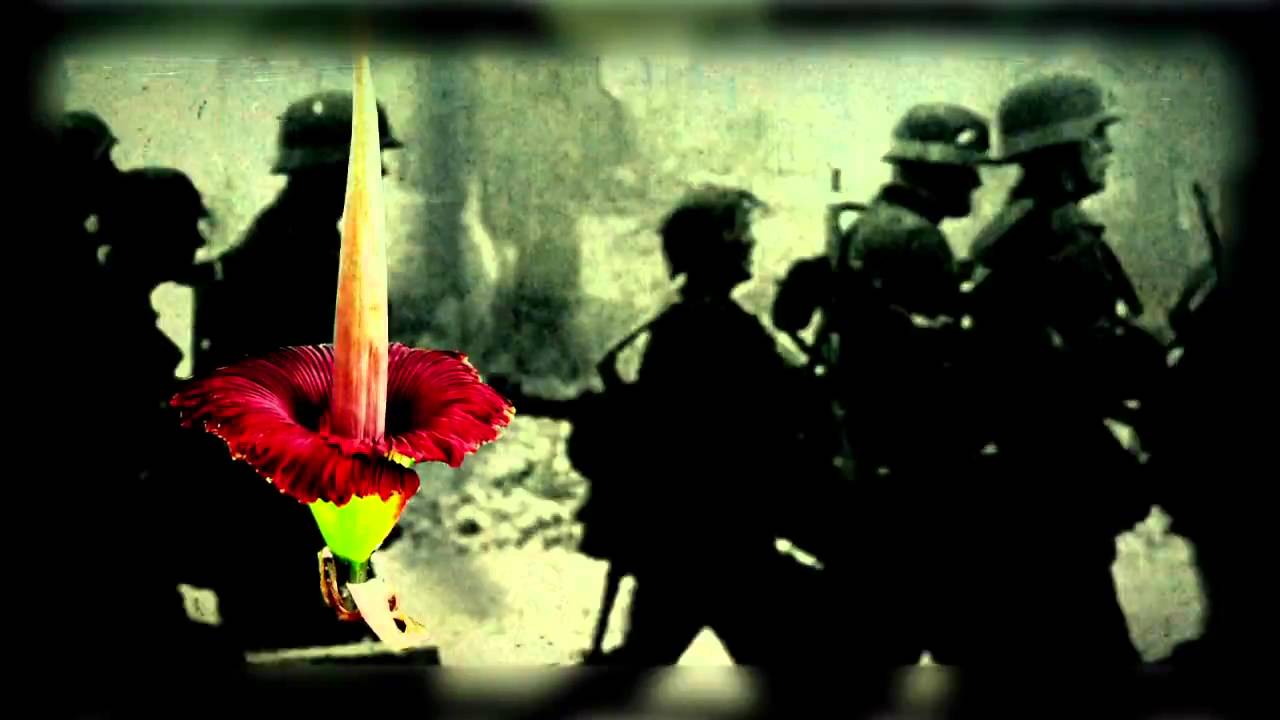 Thistles by Ted Hughes