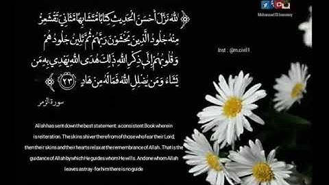 حالات واتس اب قرأنية 💙💤 (سورة الزمر )