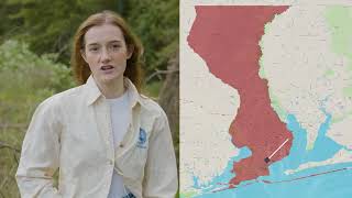 Escambia County Completes Jackson Creek Floodplain Restoration