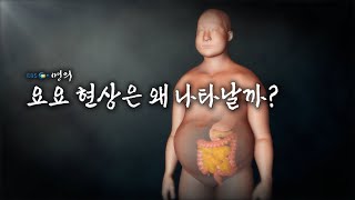 [명의 의학백과📖] 요요 현상은 왜 나타날까?