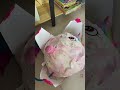 Unboxing My Inflatable Plush Toy Unboxing My Inflatable Plush Toy