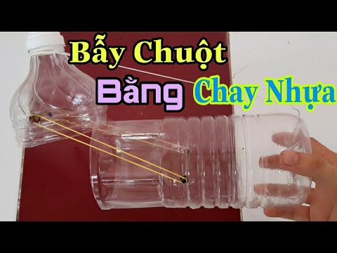 Video Hướng Dẫn Cách Làm Bẫy Chuột Bằng Chai Nhựa - youtube