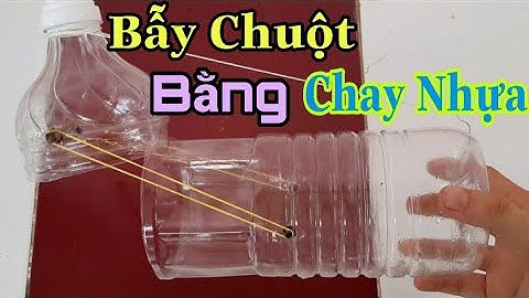 Hướng Dẫn Cách Làm Bẫy Chuột Bằng Chai Nhựa