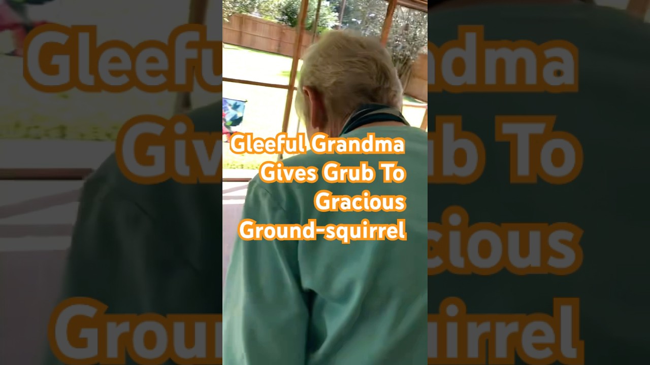 Gleeful Grandma Gives Grub To Gracious Ground-squirrel