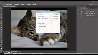 WPS - How to resize images to 1400x1050 with 72 dpi