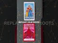 Replant Your Roots | King of Cups + The Fool Collective Reading