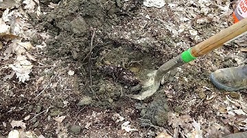 Uncle Mud Quick-Tip: Harvesting Local Subsoil for Cob Building