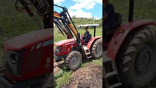 Espalhando esterco com yanmar 1145, e masey 4275 carregando!!
