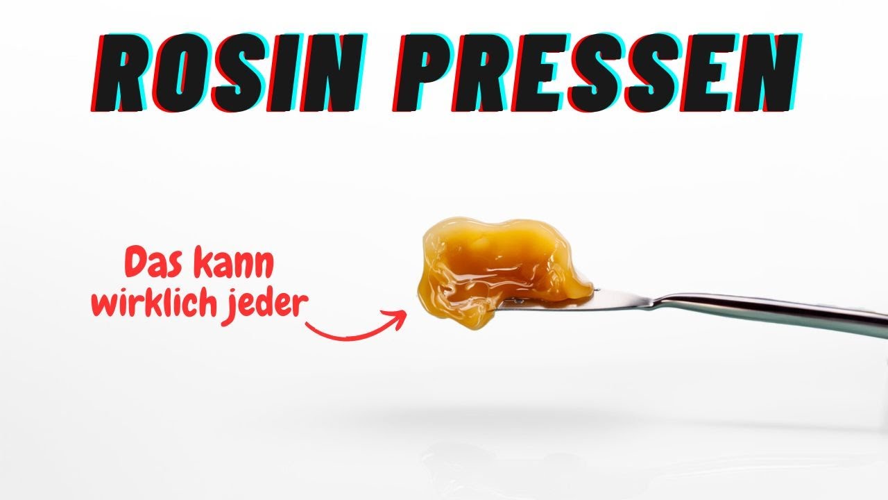 DAS kannst du aus deinen🥦Blüten pressen !!! *