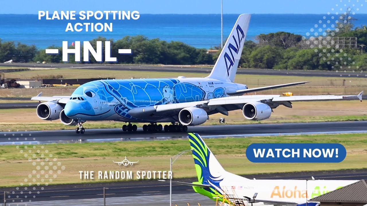 [4K] ✈️ HNL A380 Honu Lands in the Rain | Two 747s Taking Off Back-to-Back