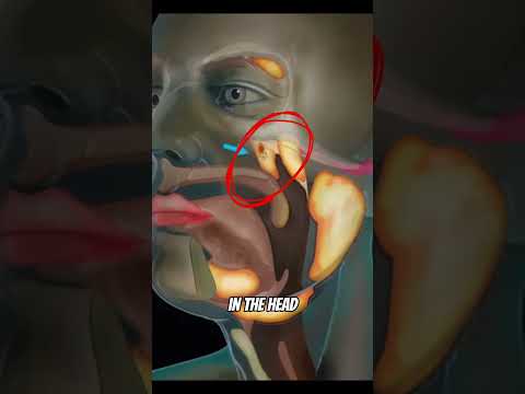 2025 Amazing Discoveries #facts #shorts