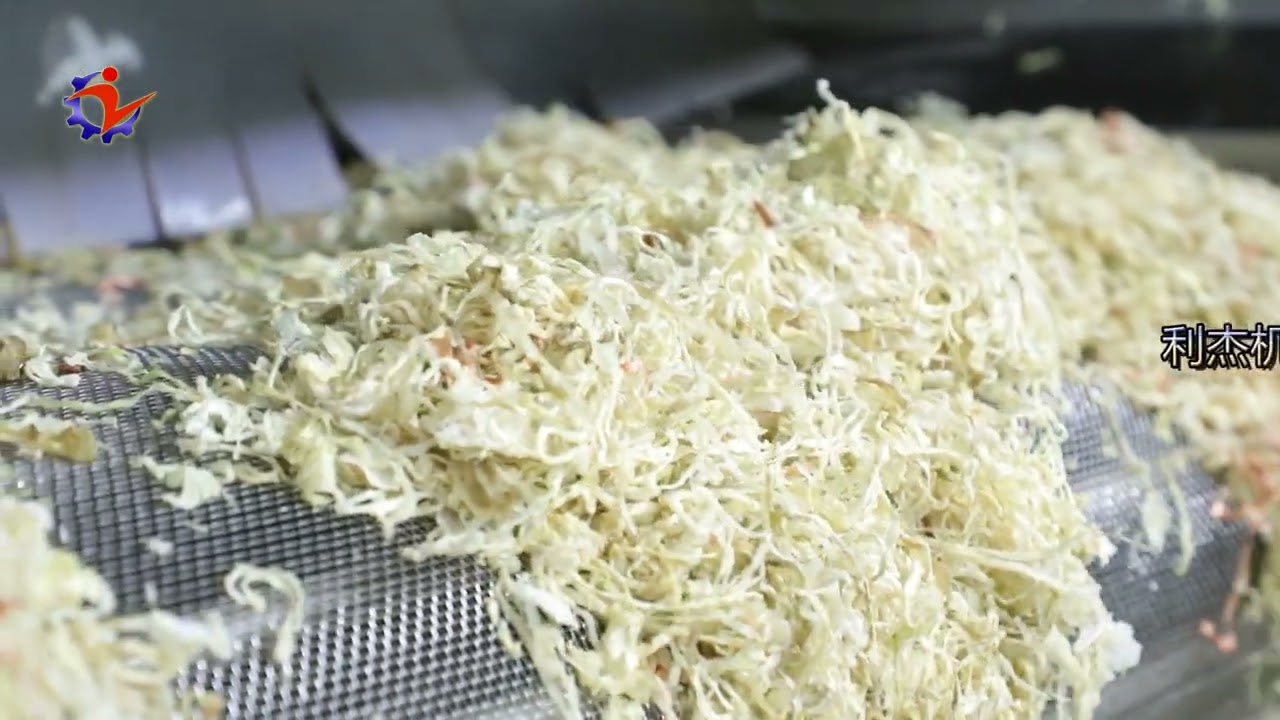 Continuous Mesh Belt Dryer/How to process onions/professional manufacturers