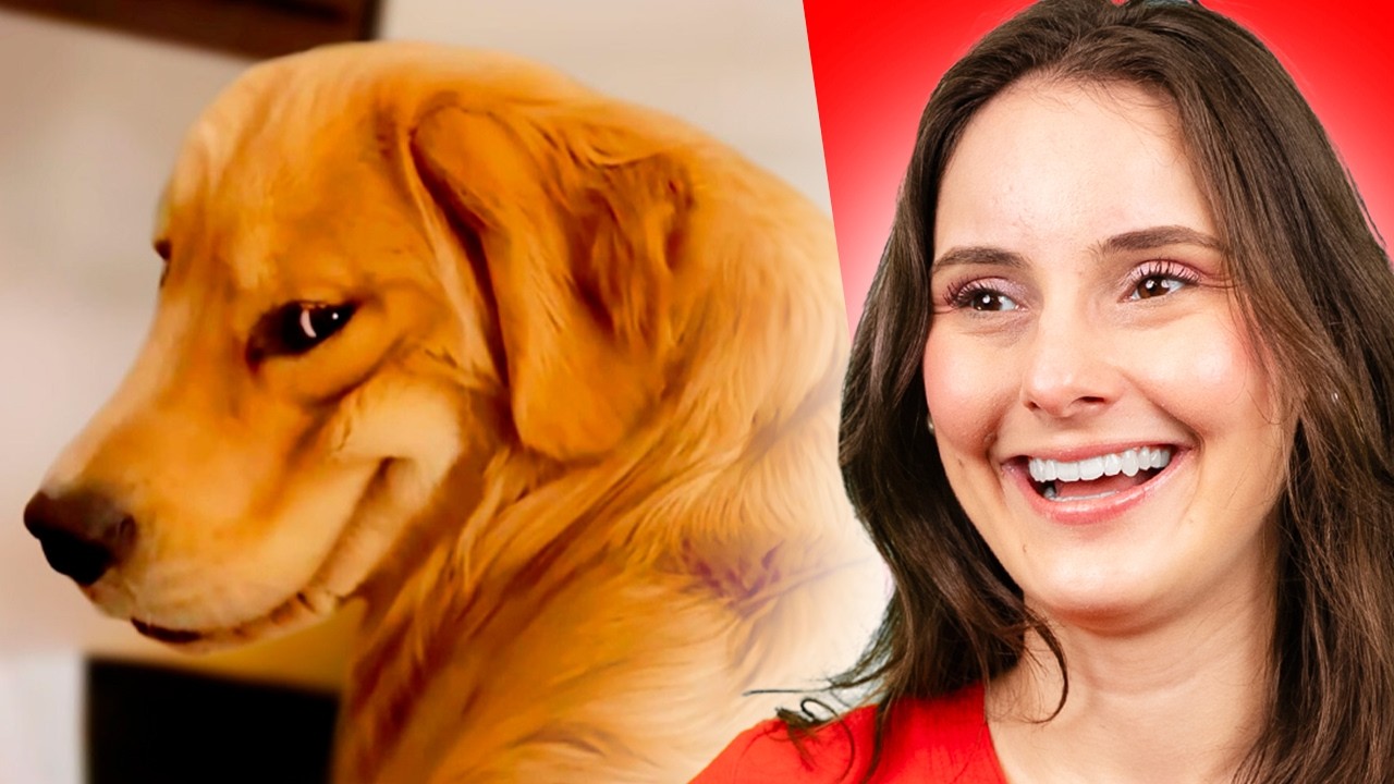 SUPER MEMES com finais inesperados