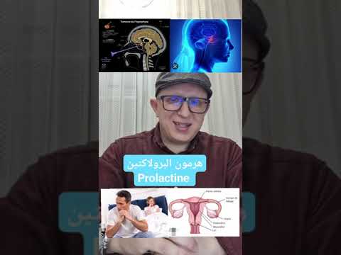 طبيب جزائري يشرح كل ما يجب معرفته عن هرمون البرولاكتين   