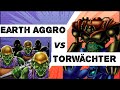 Earth Aggro VS Torwächter // Goat Format Duell🔥