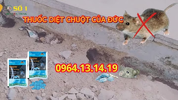THUỐC DIỆT CHUỘT CỦA ĐỨC | THUỐC DIỆT CHUỘT STORM | THUỐC DIỆT CHUỘT