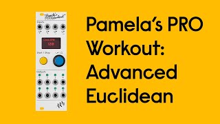 ALM/Busy Circuits(エーエルエムビジーサーキット) Pamela's PRO