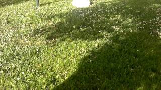 Nokia E7 Hd Video Editor