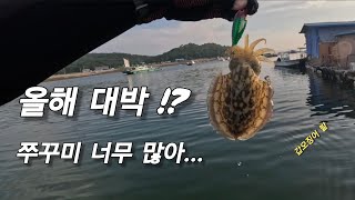 하파의 낚시노트 대표 영상 썸네일