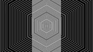 WARNING!!!! Optical Illusion