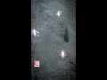 Personnalisez vos propres sorts lorsque Péchés des Horadrims envahira #DiabloIV le 1er juillet.