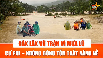 Đắk Lắk tan hoang sau lũ lịch sử: Nước dâng “nuốt chửng” nhà cửa, Cư Pui bị cô lập hoàn toàn