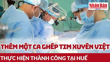 Thêm một ca ghép tim xuyên Việt thực hiện thành công tại Huế | Báo Nhân Dân