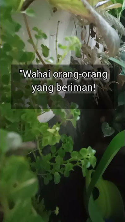 Download lagu Mohonlah pertolongan Allah SWT dengan sabar dan sholat