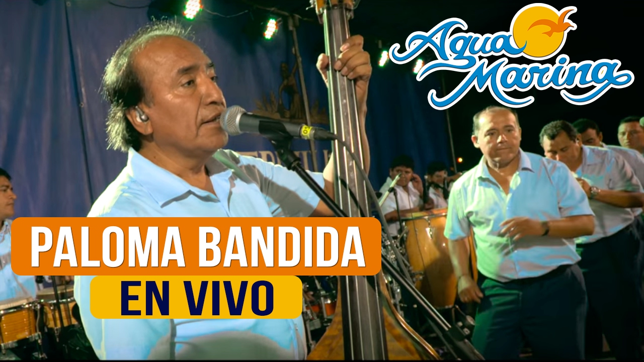 Agua Marina Paloma Bandida En Vivo Youtube