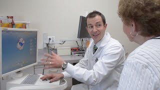 Cerec Crowns | Family Dentist Tree