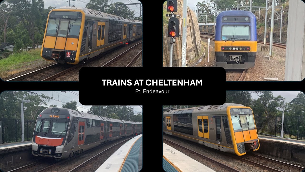 Trains at Cheltenham