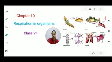 Class VII Science 22.05.20 by Ms Bhanupriya
