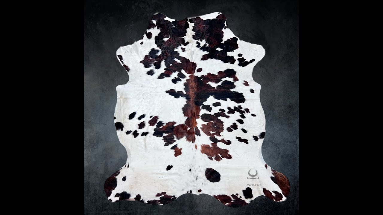 In-Depth Look at a Genuine Cowhide Rug: Size and Texture Revealed