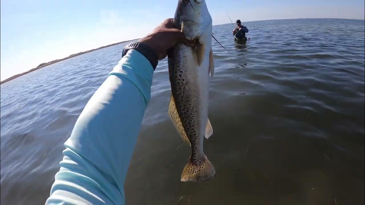 SPECKLED TROUT ON THE DOUBLE D 