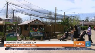 Exploring the Caldwell Zoo: Inside the new Amazon Rainforest expansion!