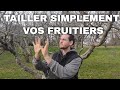 Comment tailler les vieux arbres fruitiers  comment tailler les pommiers et les poiriers en hiver 