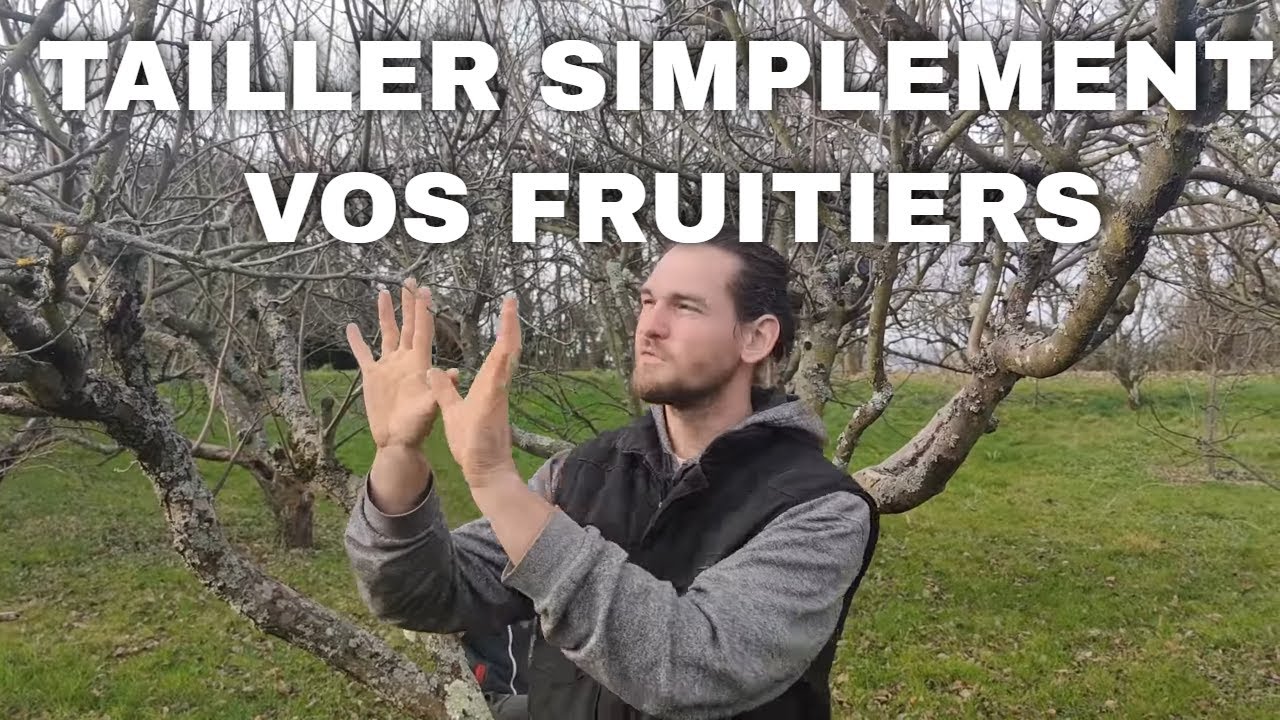 Comment tailler les vieux arbres fruitiers ? Comment tailler les pommiers et les poiriers en hiver ?
