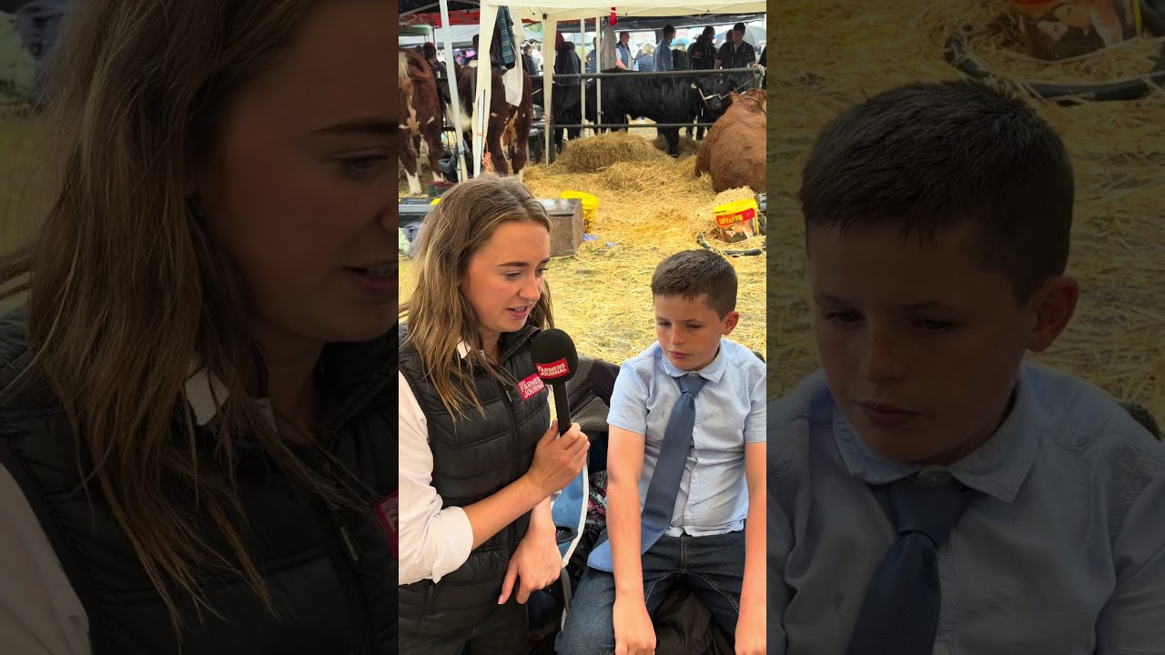 Young farmers making their mark at Virginia Show
