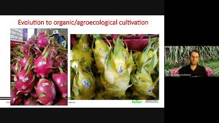 Dragon fruit in Southern Brazil - Live stream with the DF Growers Association of Southern Africa