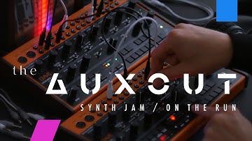 BEHRINGER CRAVE - synth jam / on the run