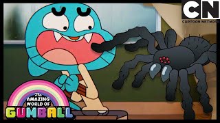 Randevu | Gumball Türkçe | Çizgi film | Cartoon Network Türkiye