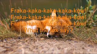 Ylvis - What Does The Fox Say? Lyrics