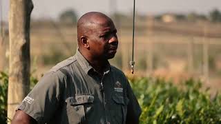 Making A Difference Gene Likhanya And The Nursery