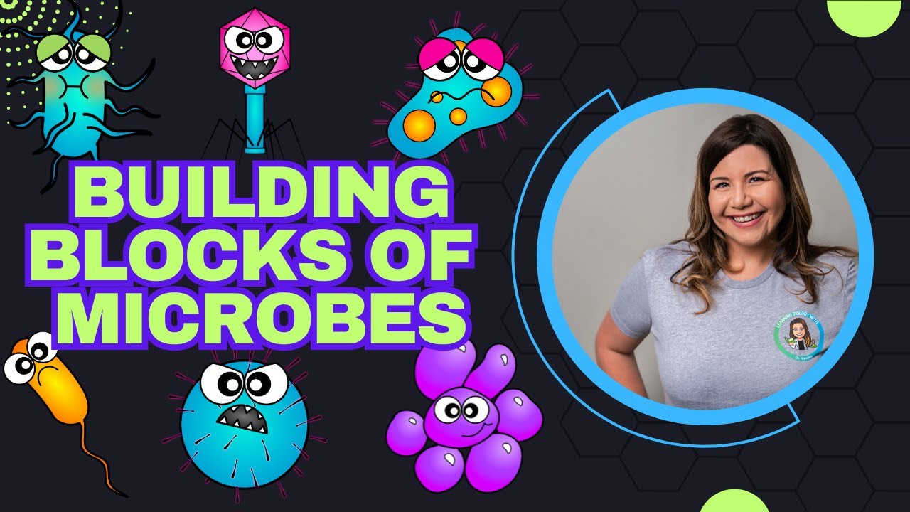 Building Blocks of Microbes